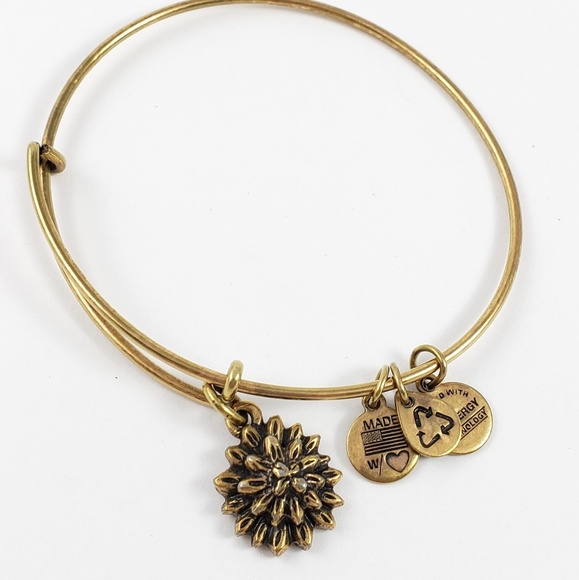 Alex and Ani Jewelry - Alex and Ani Bracelet Chrysanthemum November